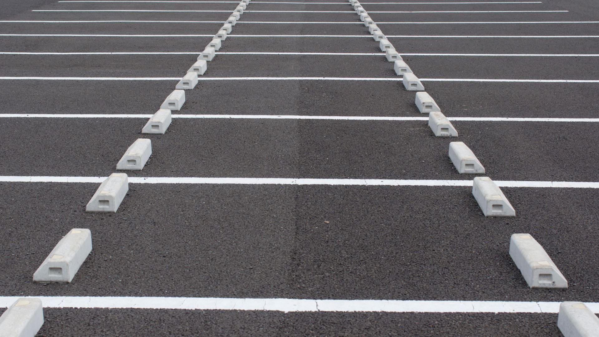 Parking lot with white lane dividers and concrete wheel stops